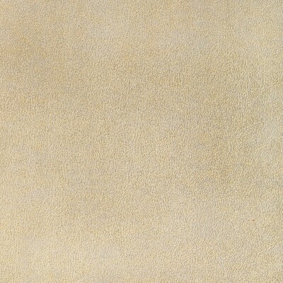 Kravet L-LOSALTOS GOLD DUST